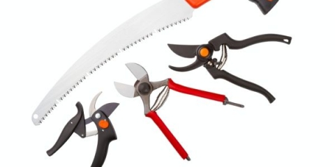 Kako i kada orezati drveće